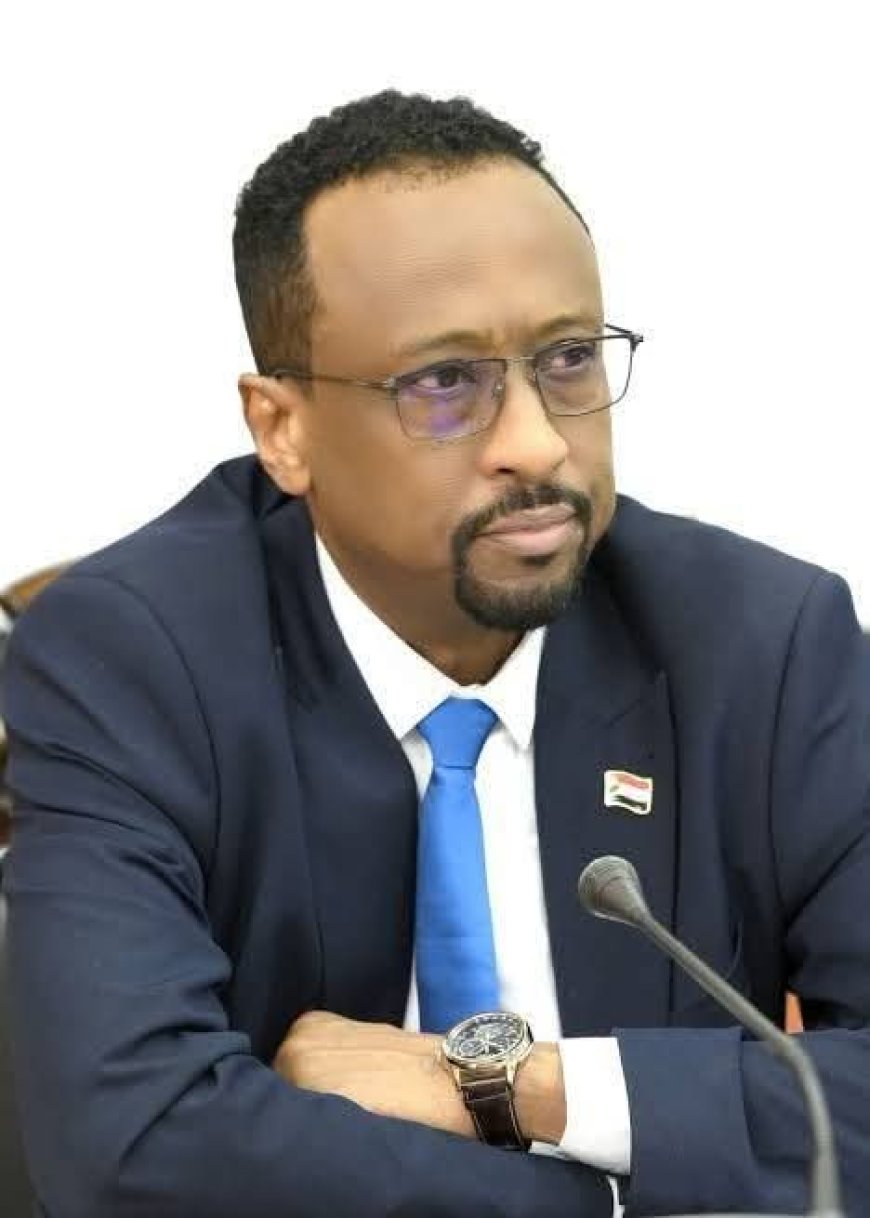 الإعيسر: المليشيا إرتكبت مجازر ضد المدنيين في محلية بارا الكبرى ويجب تصنيفها منظمة إرهابية 