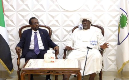 الإعيسر: ملتزمون بإنشاء المركز الإقليمي للإذاعة والتلفزيون في نهر النيل    