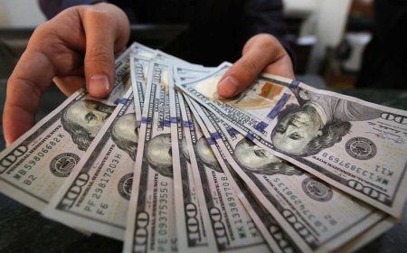 أنعش الجنيه...ضخ مكثف للعملات الأجنبية في البنوك التجارية 