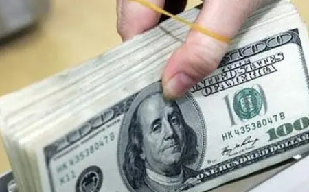 وزير المالية يكشف سر السقوط المستمر للدولار