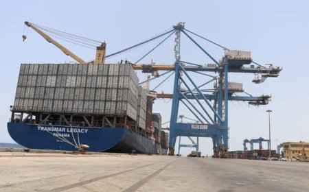 الموانئ البحرية : تداول 100ألف حاوية واستقبال 207 باخرة بالميناء الجنوبي ببورتسودان 
