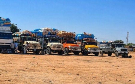 المليشيا تنهب 35 شاحنة محملة بالمحاصيل في غرب كردفان 