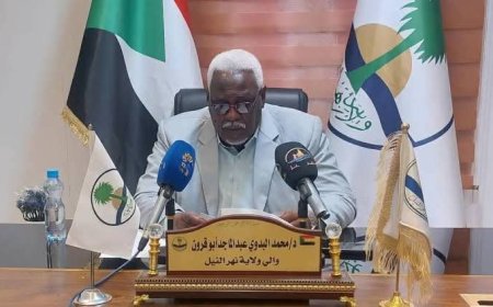 إقالة مسؤول في حكومة نهر النيل 