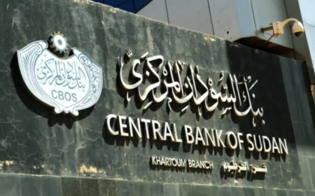 بسبب مخالفات النقد الأجنبي.. البنك المركزي يوقف مصرفين ويطيح بموظفين  