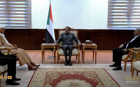 رئيس الوزراء يلتقي وفد مجلس الصحوة الثوري برئاسة موسي هلال    