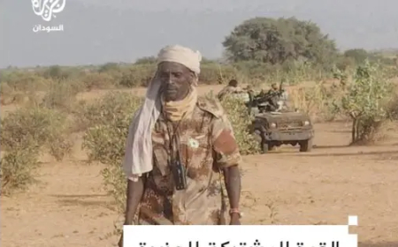 عملية خاطفة ومباغتة.. الجيش يحرر منطقة مهمة من دنس المليشيا في شمال دارفور