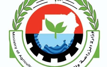 الزراعة والري: لجنة حكومية لمتابعة الموقف المائي على مدار الساعة وانخفاض مناسيب النيل مؤقت