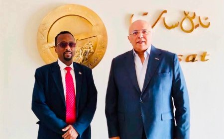 زيارة الإعيسر لـ"نايل سات" متانة العلاقات السودانية المصرية...وإطلاق بث قناة "السودان" بتقنية HD على (نايل سات) 