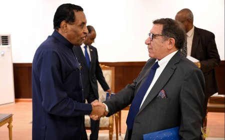رئيس الوزراء يلتقي الخبير المستقل المعني بحقوق الإنسان في السودان   