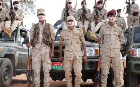 إمهال عناصر المليشيا 48 ساعة لمغادرة كردفان