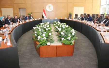 ارتفاع قدرة الربط الكهربائي المصري إلى 75 ميقاوات   