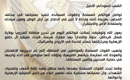 الجيش: المليشيا ومرتزقتها تكبدو خسائر فادحة في الأرواح والمركبات (بالمزروب)