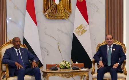 البرهان والسيسي يبحثان تطورات الأوضاع في السودان