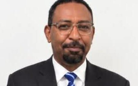 مستشار البرهان ل"منظمةأممية" : استمرار الدعم والتسليح الامارتي للمليشيا يطيل أمد الحرب