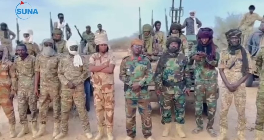 انشقاق قوة تابعة لحركة المتمرد الطاهر حجر من المليشيا